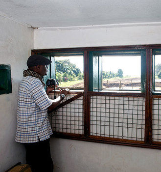 Imagen de los exteriores del Hotel Treetops. Foto 12