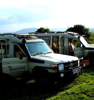 Imagen de los interiores del Hotel Treetops. Foto 14