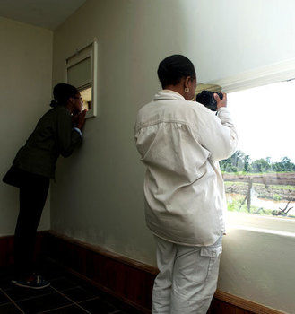 Imagen de la habitación del Hotel Treetops. Foto 10