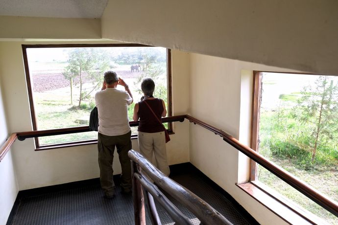 Imagen de los interiores del Hotel Treetops. Foto 16