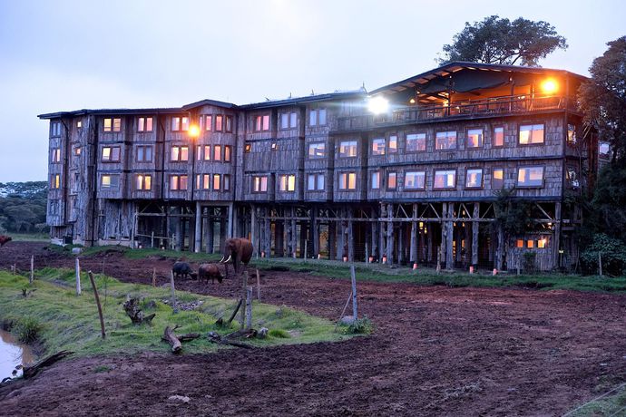 Imagen de los exteriores del Hotel Treetops. Foto 13