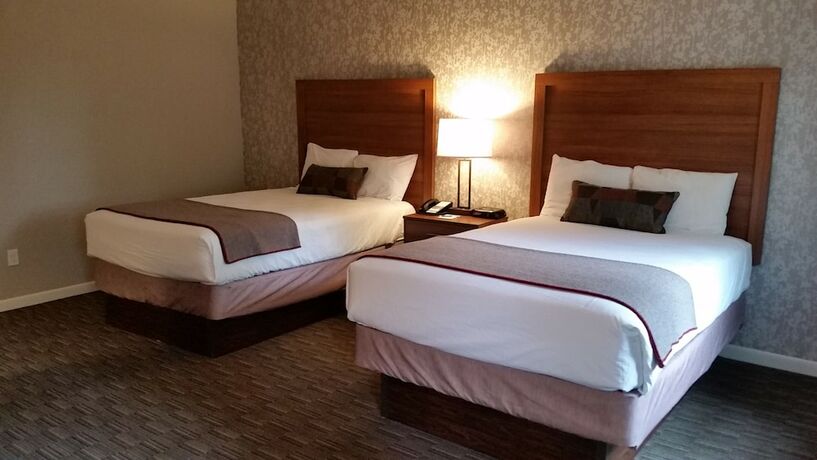 Imagen general del Hotel Treetops Resort. Foto 3