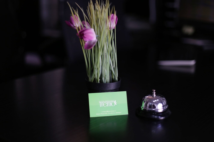 Imagen de los interiores del Hotel Tremo Boutique Parque Forestal. Foto 18