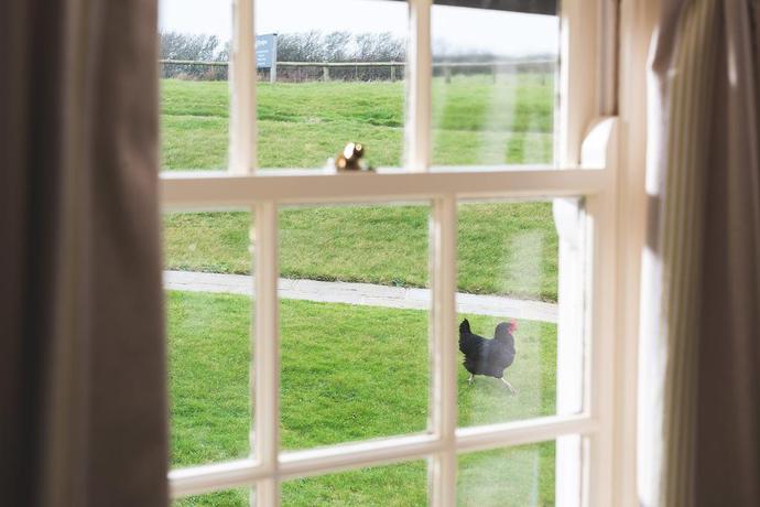 Imagen de los exteriores del Hotel Trevigue. Foto 14