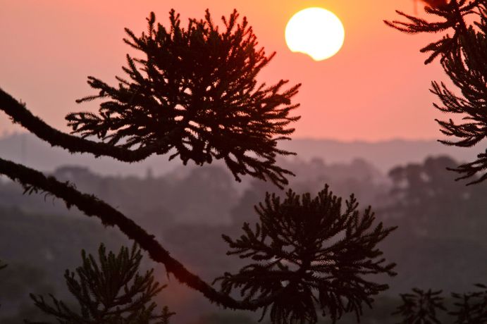 Imagen de los interiores del Hotel Tri Canela. Foto 15