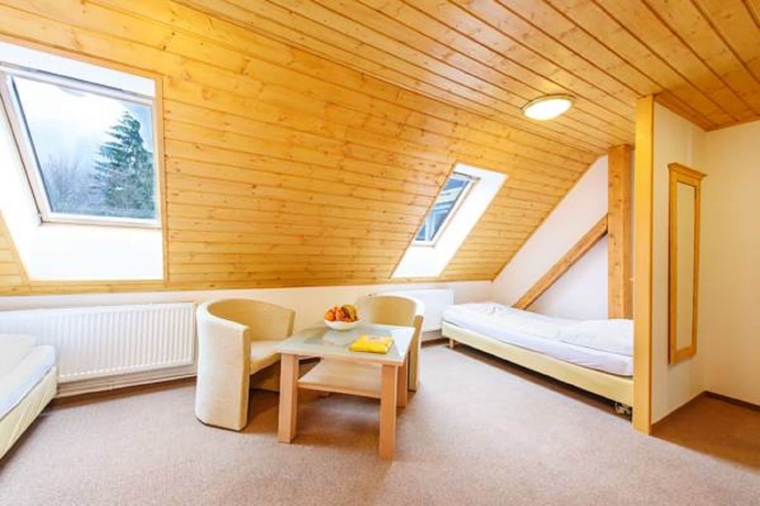 Imagen de la habitación del Hotel Tri Ru?e. Foto 10