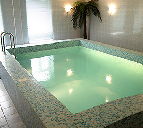 Imagen de la piscina del Hotel Tri Zvezdy. Foto 12