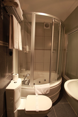 Imagen de la habitación del Hotel Tria Elegance Istanbul. Foto 5