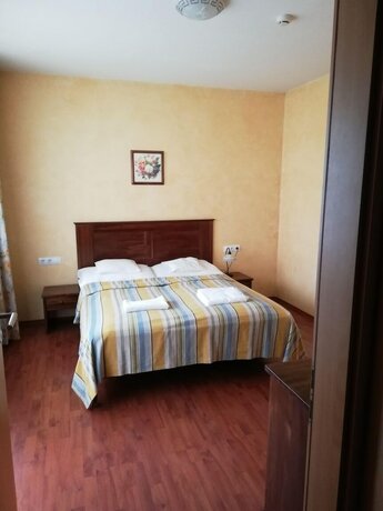 Imagen de la habitación del Hotel Triász. Foto 14