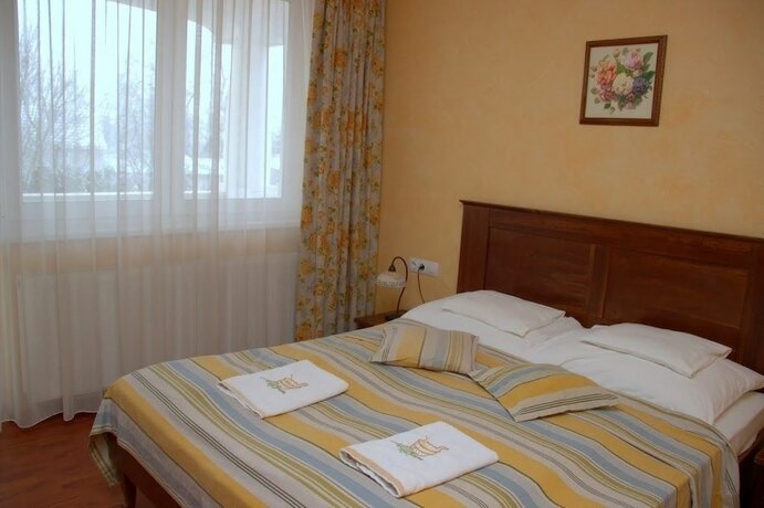 Imagen de la habitación del Hotel Triász. Foto 15