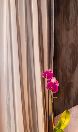 Imagen de la habitación del Hotel Triada, Sofia. Foto 4