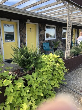 Imagen general del Hotel Triangle Inn Motel. Foto 6