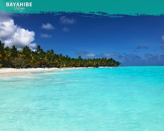 Imagen general del Hotel Tribe Inn and Rooftop Lounge. Foto 14