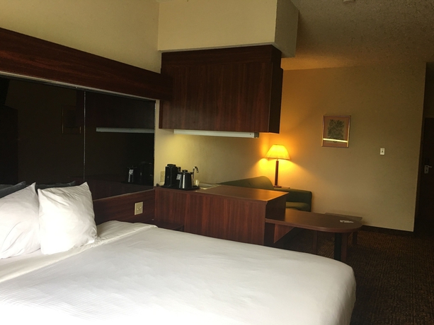 Imagen de la habitación del Hotel Trident Inn and Suites, Baton Rouge. Foto 4