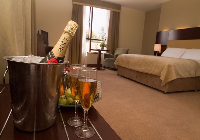 Imagen de la habitación del Hotel Trim Castle. Foto 16