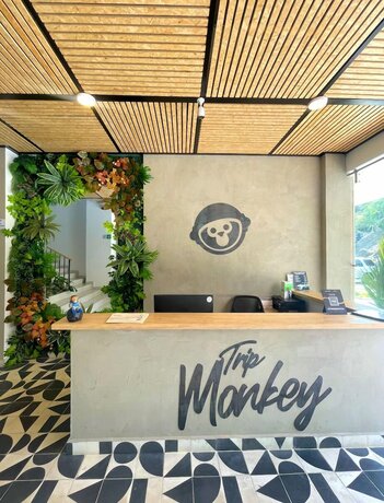Imagen general del Hotel Trip Monkey Del R&iacute;o. Foto 3