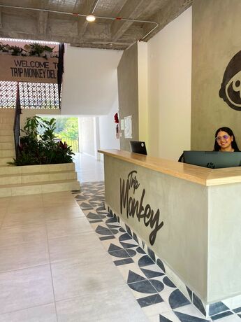 Imagen de los interiores del Hotel Trip Monkey Del R&iacute;o. Foto 31