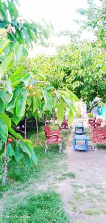 Imagen general del Hotel Triple One. Foto 4