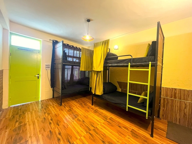 Imagen de la habitación del Hotel Trippy Turtle Hostel. Foto 11