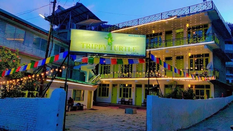 Imagen general del Hotel Trippy Turtle Hostel. Foto 4