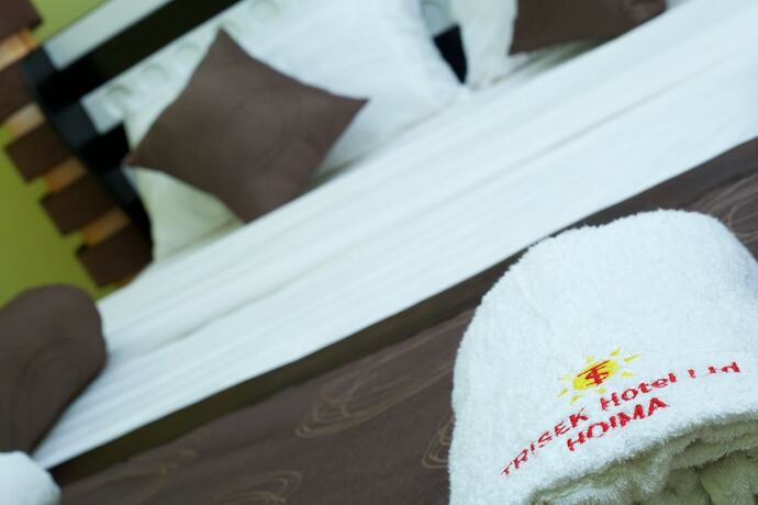 Imagen de la habitación del Hotel Trisek. Foto 14