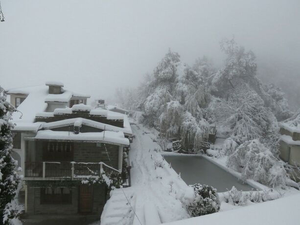Imagen general del Hotel Trishul Orchard Resort. Foto 1