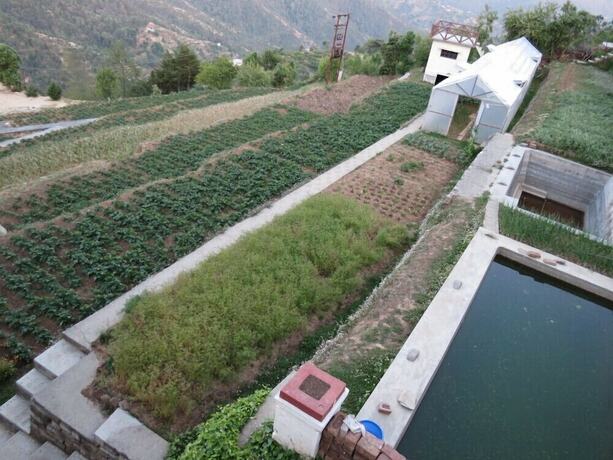 Imagen general del Hotel Trishul Orchard Resort. Foto 7
