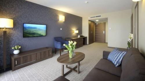 Imagen de la habitación del Hotel Tristan Hotel & SPA. Foto 8