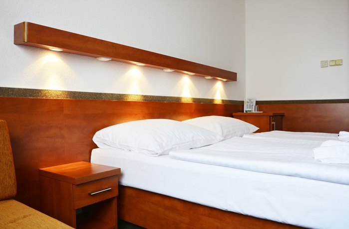 Imagen de la habitación del Hotel Tristar, Praga. Foto 10