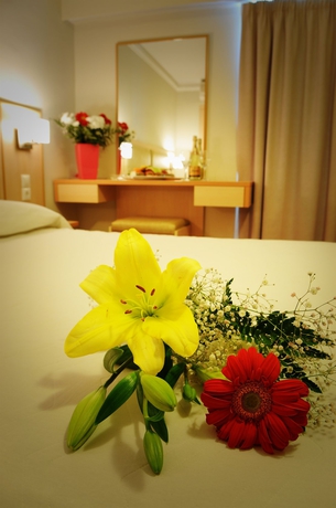 Imagen de la habitación del Hotel Triton, Cos Ciudad. Foto 8