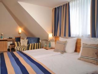 Imagen general del Hotel Triton, Lindenthal. Foto 4