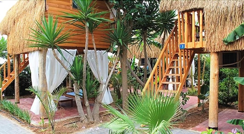 Imagen general del Hotel Triton and Bungalows. Foto 1