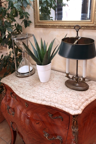 Imagen de los interiores del Hotel Trocadéro, Niza. Foto 12