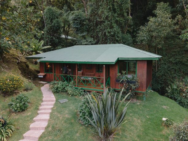 Imagen general del Hotel Trogon Lodge. Foto 16