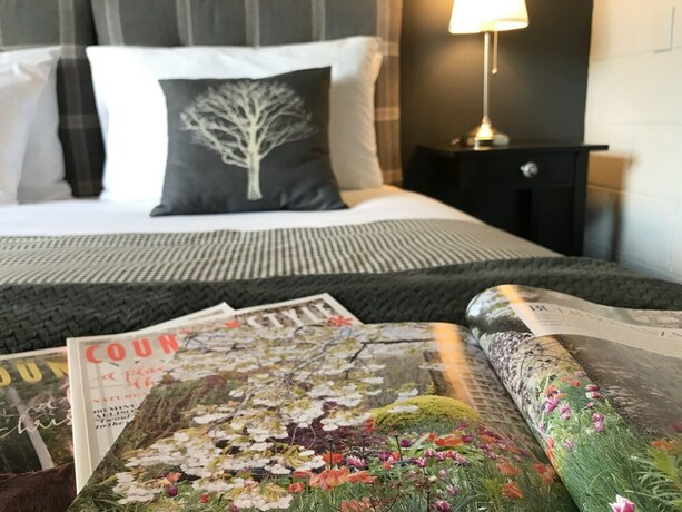 Imagen de la habitación del Hotel Troldhaugen Lodge - Adults Only. Foto 19