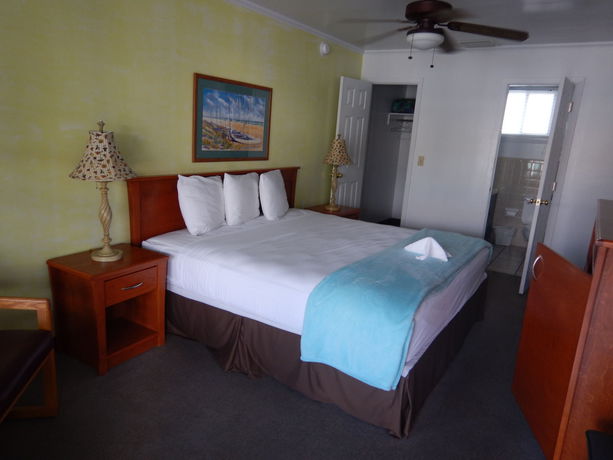 Imagen de la habitación del Hotel Tropic Island Resort. Foto 10