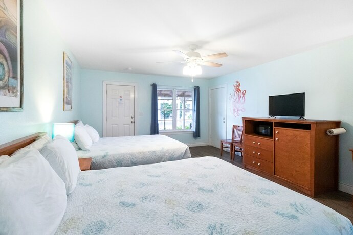 Imagen general del Hotel Tropic Island Resort. Foto 7