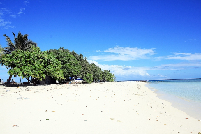 Imagen de los exteriores del Hotel Tropic Tree Maldives. Foto 14