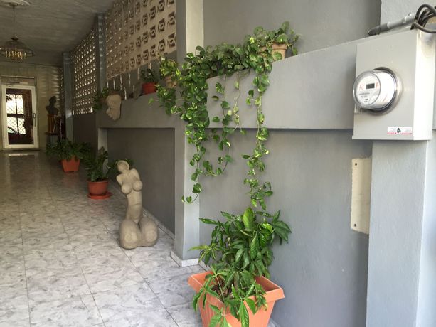 Imagen de la habitación del Hotel Tropical Bed and Breakfast. Foto 7