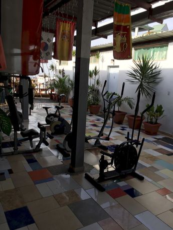 Imagen de los interiores del Hotel Tropical Bed and Breakfast. Foto 15