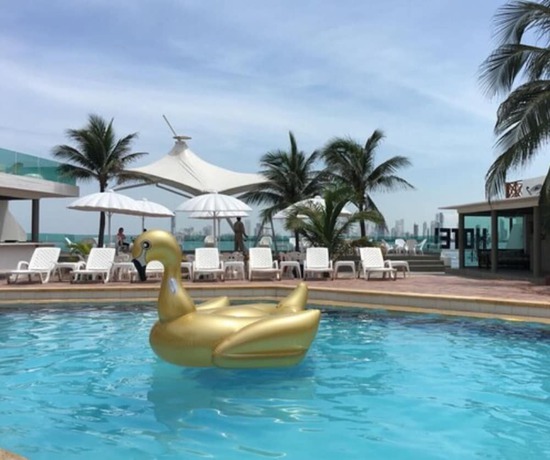 Imagen de la piscina del Hotel Tropical Inn. Foto 18