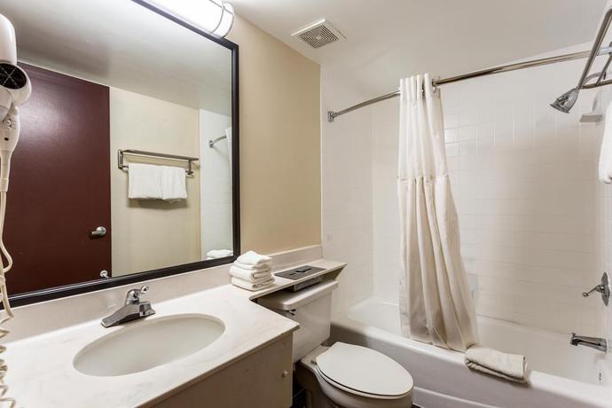 Imagen de la habitación del Hotel Tropical Palms, Clearwater . Foto 4