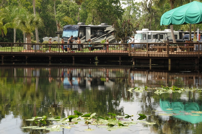 Imagen de los exteriores del Hotel Tropical Palms Resort & Campgr. Foto 10
