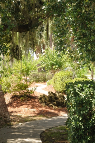 Imagen de los exteriores del Hotel Tropical Palms Resort & Campgr. Foto 12