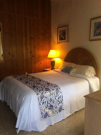 Imagen de la habitación del Hotel Tropical Resort and Marina on Lake Beresford. Foto 9