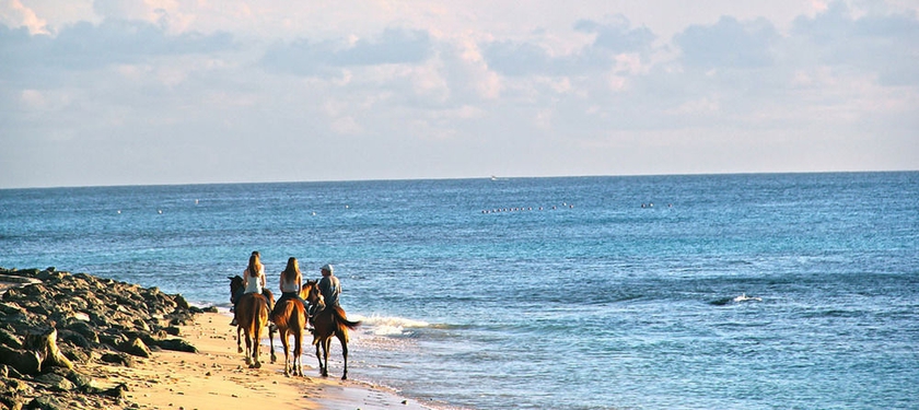 Imagen de los exteriores del Hotel Tropical Sunset Beach Apartment. Foto 6
