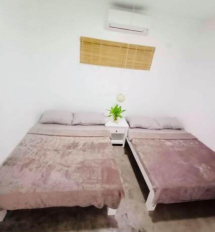 Imagen de la habitación del Hotel Tropical Vibes Inn Siargao. Foto 13