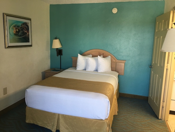 Imagen de la habitación del Hotel Tropical Winds Oceanfront. Foto 12