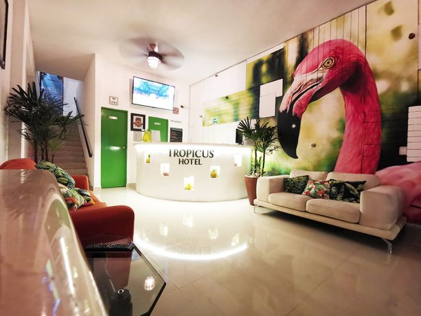 Imagen de los interiores del Hotel Tropicus Boutique. Foto 12