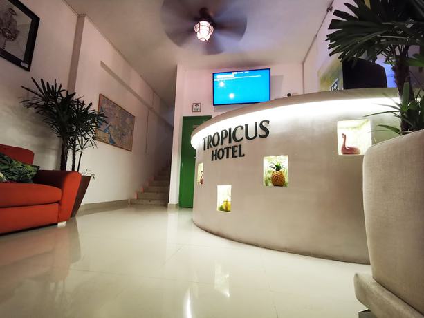 Imagen de los interiores del Hotel Tropicus Boutique. Foto 15